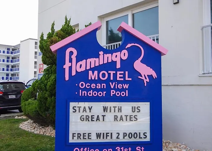 Flamingo 2*