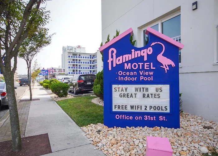 Flamingo Ocean City