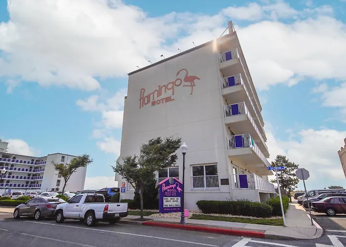Flamingo Motel 2*