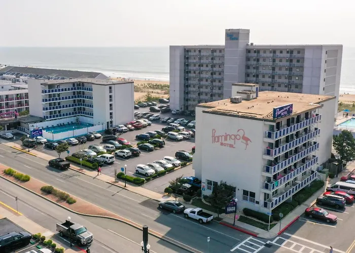 Flamingo Motel 2*