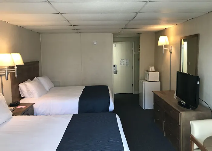 Motel Flamingo