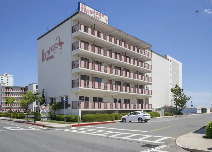 Flamingo Motel 2*