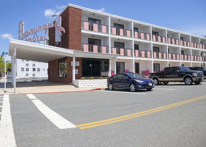 Motel Flamingo Ocean City