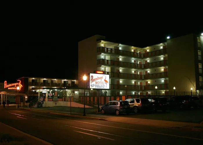 Flamingo Motel Ocean City