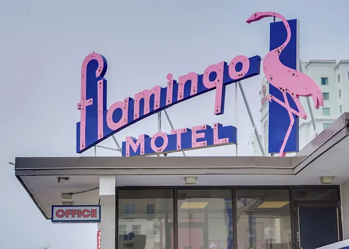 Flamingo Ocean City