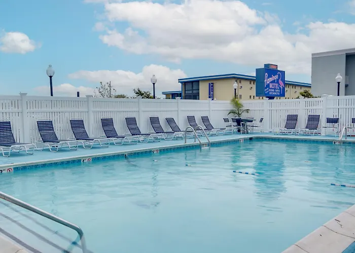 Flamingo Motel Ocean City