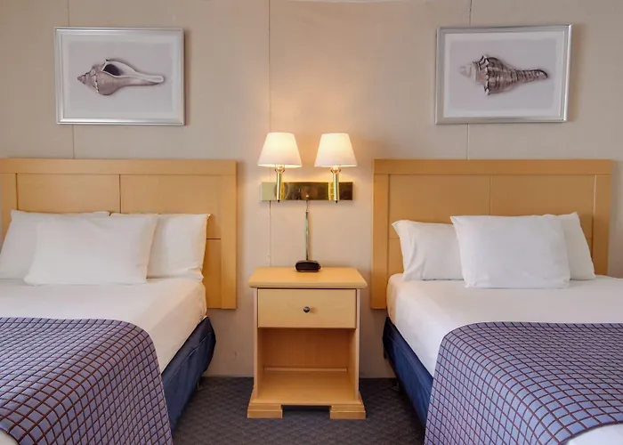 Flamingo Ocean City