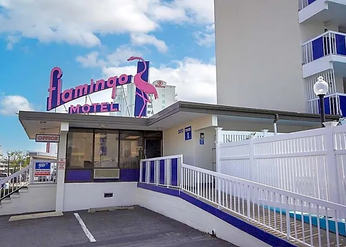 Motel Flamingo 2*