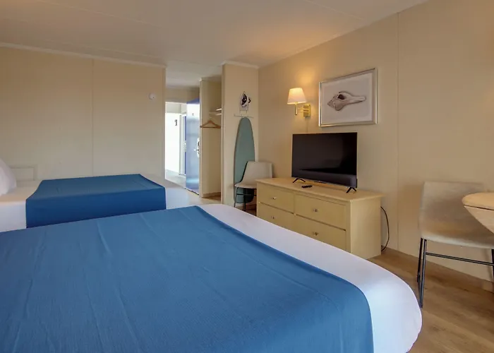 Flamingo 2* Ocean City