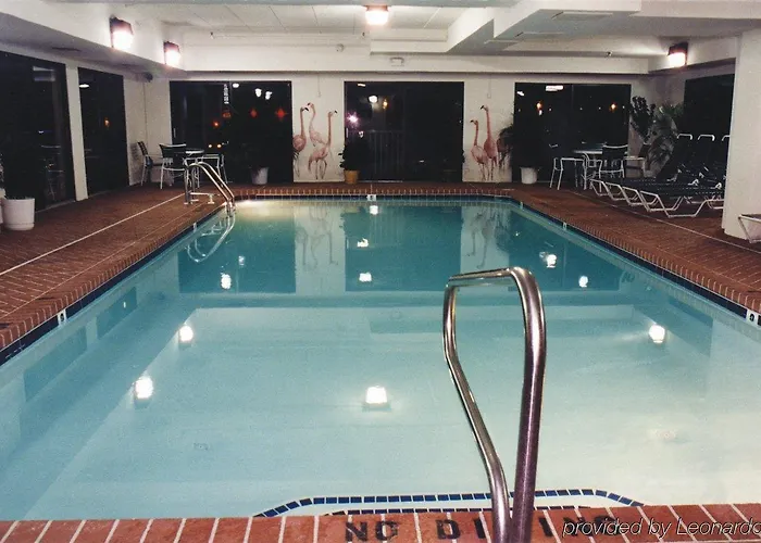 Flamingo Motel