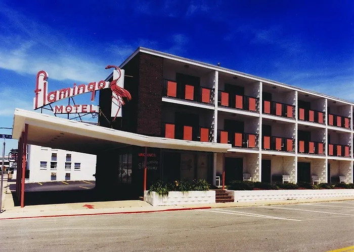 Flamingo 2* Ocean City